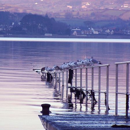 The Oystercatcher Lodge Carlingford Exteriér fotografie