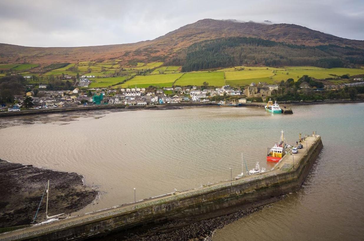 The Oystercatcher Lodge Carlingford Exteriér fotografie