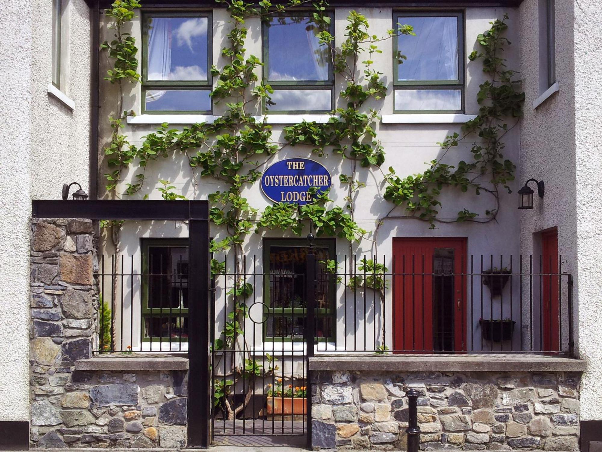 The Oystercatcher Lodge Carlingford Exteriér fotografie